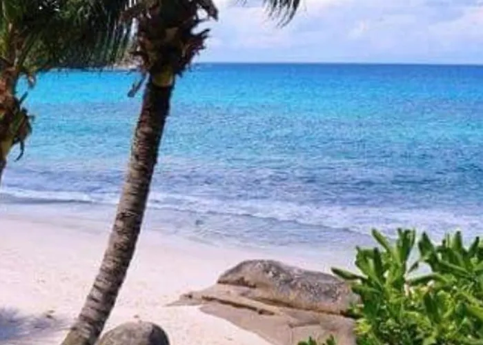 Cozy And Confortable Flat Into Quit Area * Los Cristianos (Tenerife)